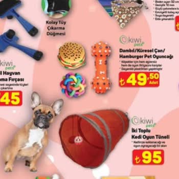 Katalogdaki Ürünler Mağazalara Ulaşmıyor!