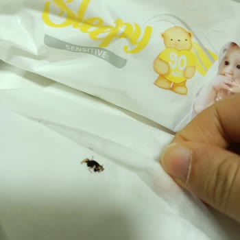Bebek Islak Mendilinde Böcek Şoku