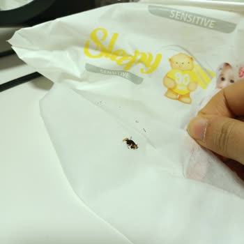 Bebek Islak Mendilinde Böcek Şoku