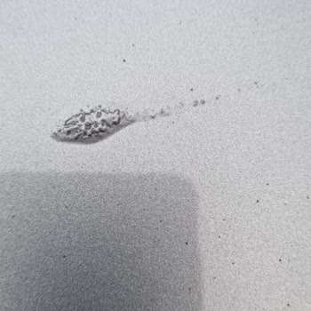 Çetaş Bayrampaşa'da Çözülemeyen Boya Hatası