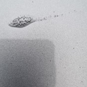 Çetaş Bayrampaşa'da Çözülemeyen Boya Hatası