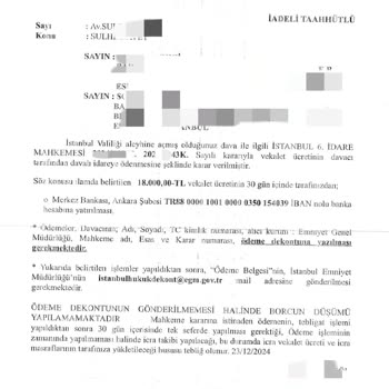 Martı'nın Yetersiz Hukuki Desteği Ve Beklenmeyen Masraflar