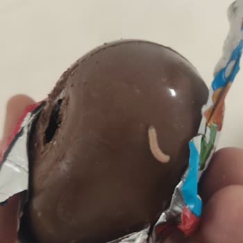 Şölen Ozmo Yumurtadan Kurt Çıktı