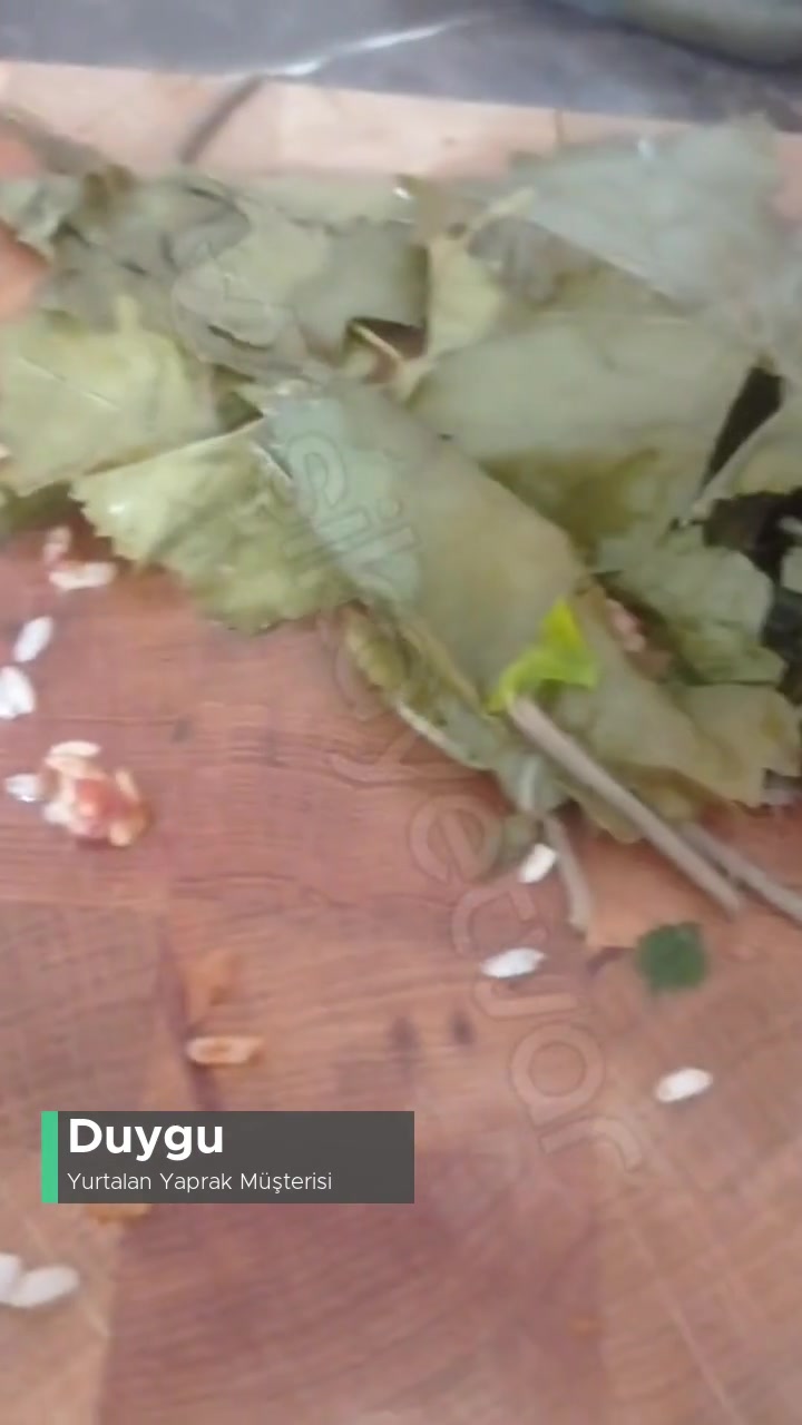 Yurtalan Zade Salamura Asma Yaprağı Paramparça! videonun kapak resmi