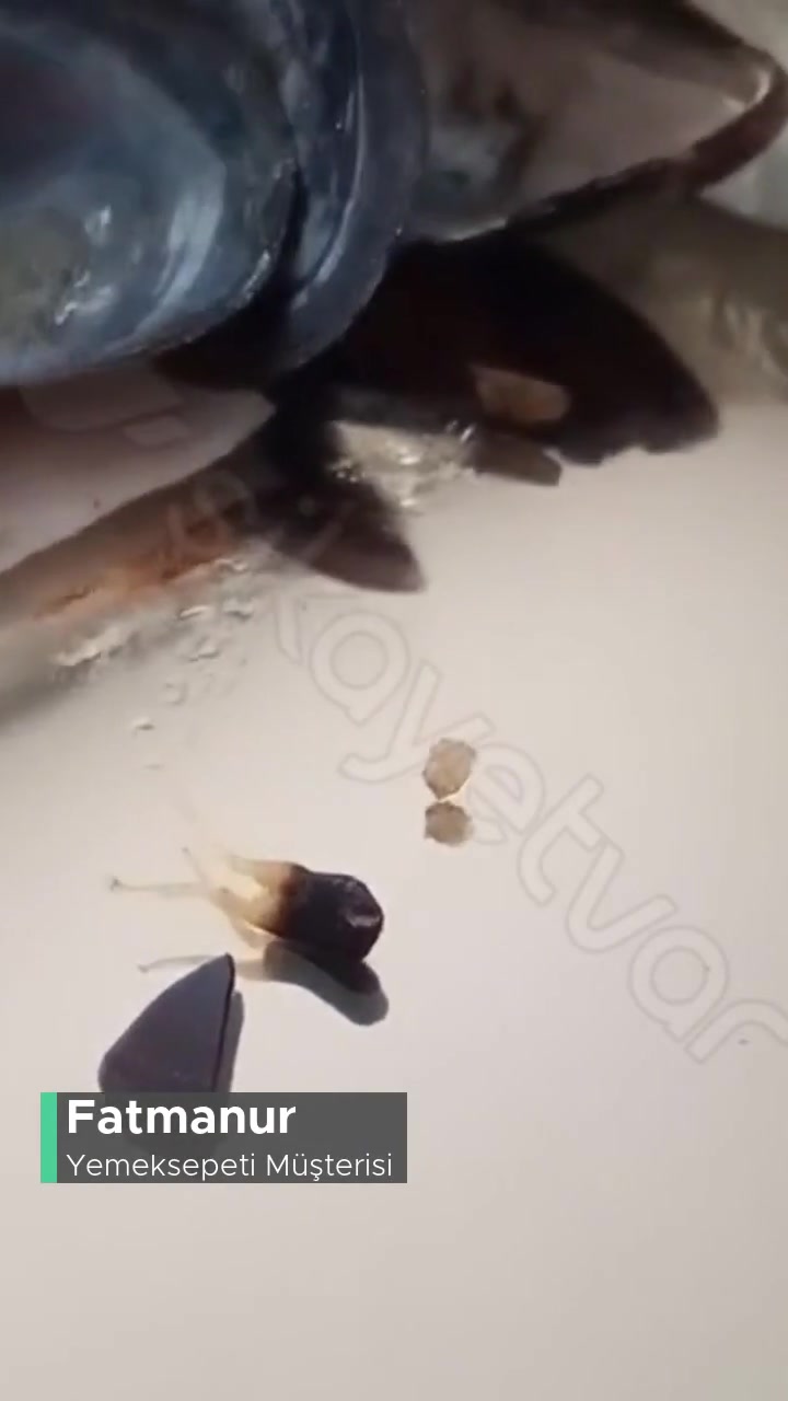 Yemeksepeti Midyem Rezalet Geldi! videonun kapak resmi