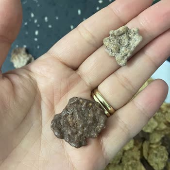 Bozuk Nesfit Çikolatalı Gevrek Sorunu