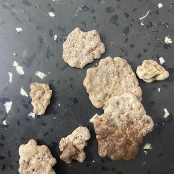 Bozuk Nesfit Çikolatalı Gevrek Sorunu