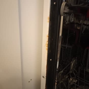 Vestel Bulaşık Makinesi: Çürüme Sorunu Ve Müşteri Memnuniyetsizliği