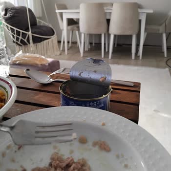 Konserve Kutusundaki Tehlikeli Yabancı Cisim