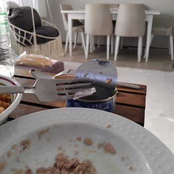 Konserve Kutusundaki Tehlikeli Yabancı Cisim