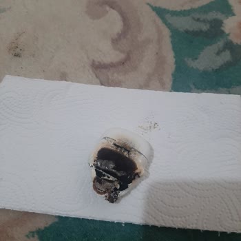 Güvenlik Sorunu Yaşatan Ürün