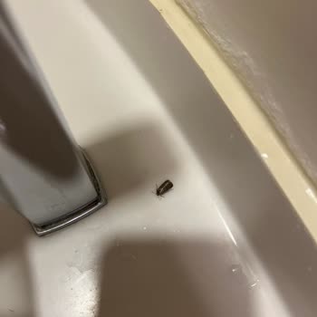 Отель Rixos Park Belek: Низкое качество обслуживания и неудобства