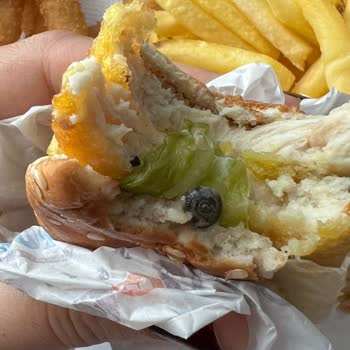 Hamburgerde Şok Edici Sürpriz: Salyangoz!