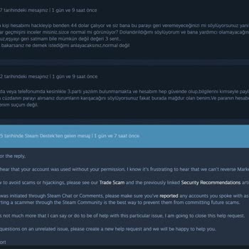 Steam Hesabımda Gizemli Satın Alma Ve Destek Hayal Kırıklığı