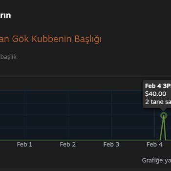 Steam Hesabımda Gizemli Satın Alma Ve Destek Hayal Kırıklığı