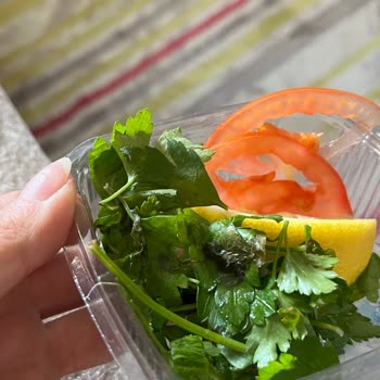 Yemeksepeti Siparişimde Çürük Salata Şoku