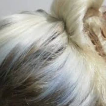 Saç Boyası Beklenmedik Şekilde Mavi Çıktı