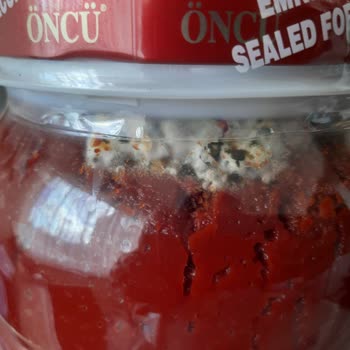 Son Kullanma Tarihi Geçmemiş Salçada Küf Sorunu