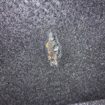 Fiat Egea Servisinden Yetersiz İletişim Ve Hatalı İşlem