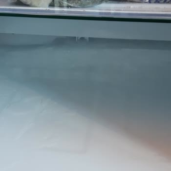 Beko Buzdolabında Sürekli Buzlanma Sorunu