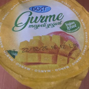 Taze Yoğurtta Küf Şoku