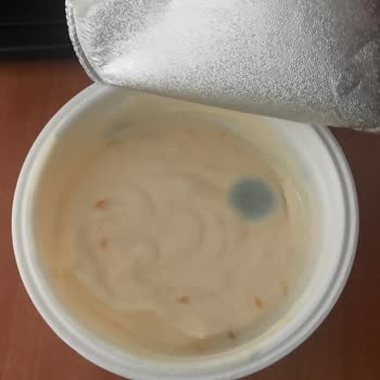 Taze Yoğurtta Küf Şoku