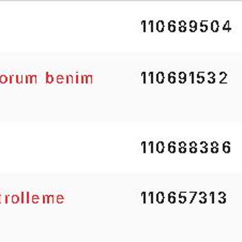 Destek Ekibinin İlgisizliği Ve Haksız Ban Sorunu