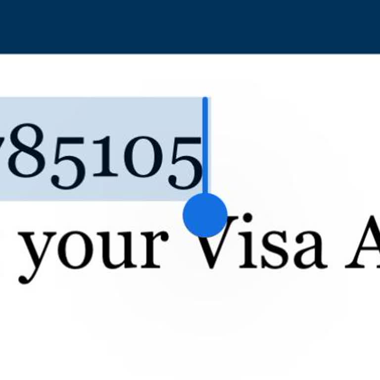 Vize Başvurumun Gecikmesi Ve Seyahat Planlarımın Tehlikede Olması