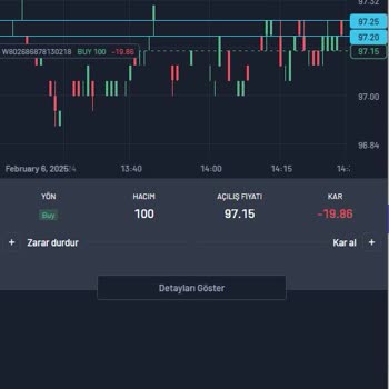 Thomson Investment Yüksek Komisyon Oranları Yatırımcıları Zorluyor!