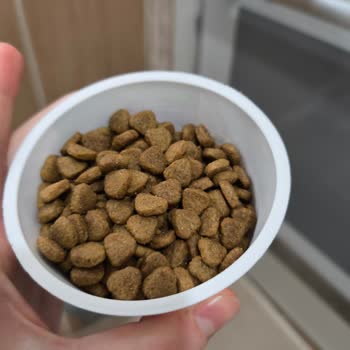 Kedi Maması Aldatmacası: Et Yok!