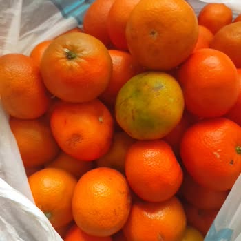 A101 Kapıda Uygulamasında Eksik Ürün Ağırlıkları