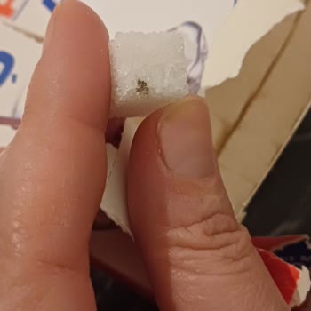 BİM Küp Şekerden Çıkan Böcek Şoku: Tüketici Güvenini Sarsan Durum