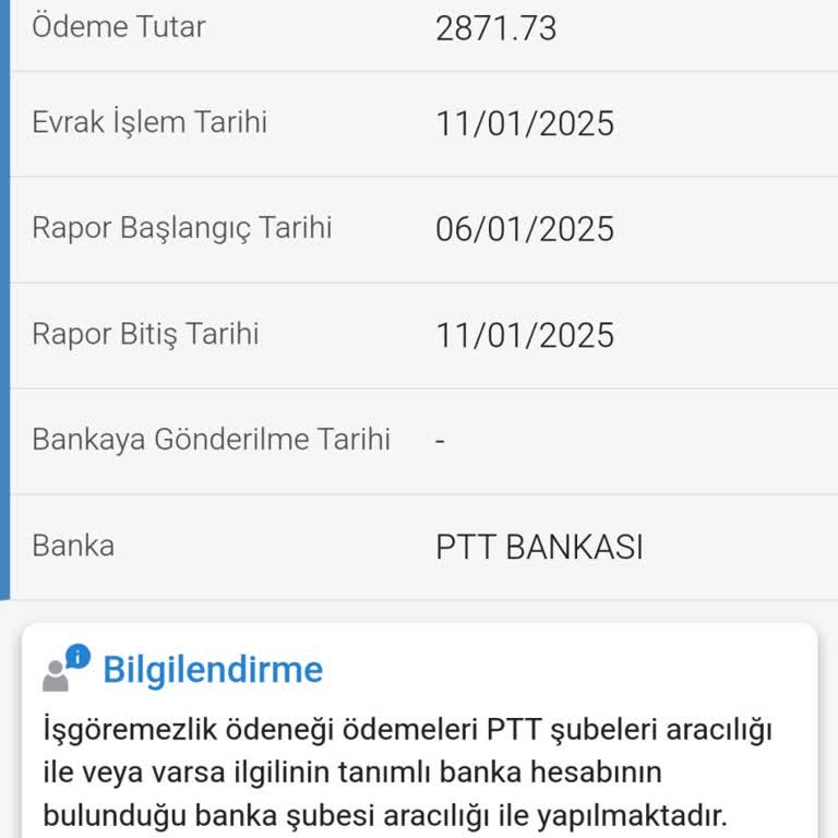PTT'de Kaybolan Rapor Ücreti