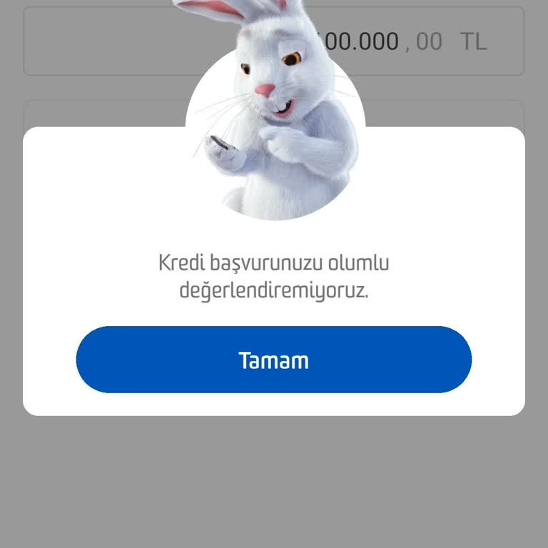 Kredi Yapılandırma Talebime Anında Red