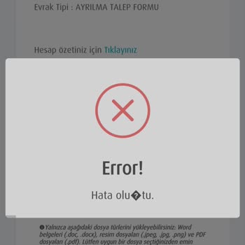 Türkiye Hayat Emeklilik Link Sorunu: Yükleme Hatası