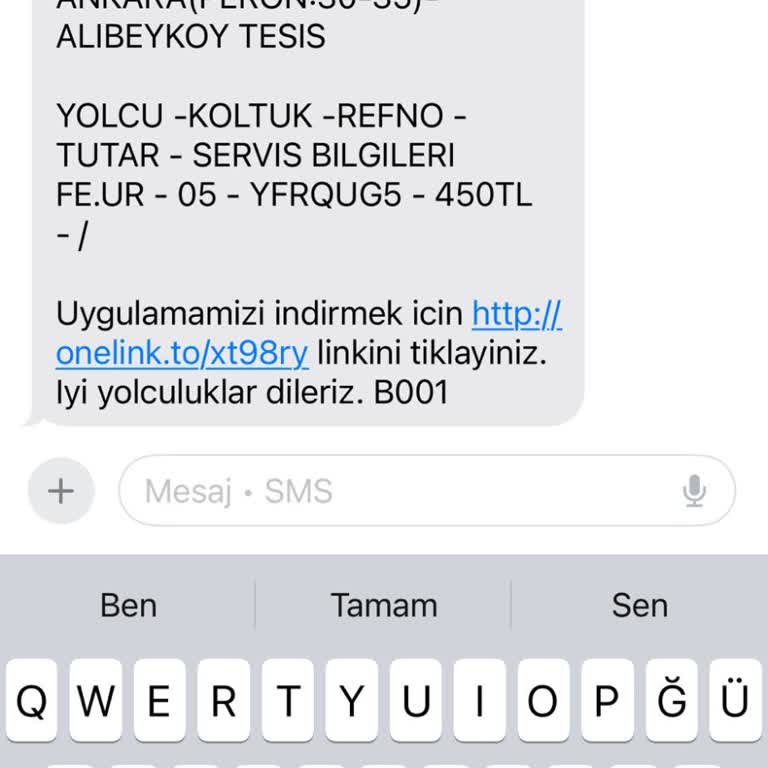 Metro Turizm Yolcu Mağduriyeti: Alibeyköy'e Ulaşım Krizi