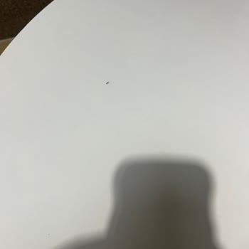 Trendyol Mat Home Design Şikayetçiyim