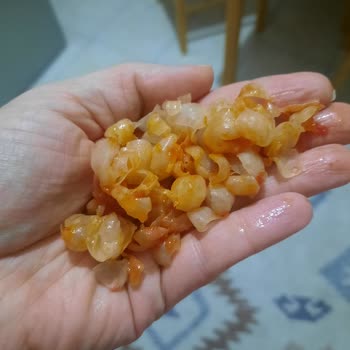 Yayla Bakliyat Haşlanmış Nohut Hayal Kırıklığı