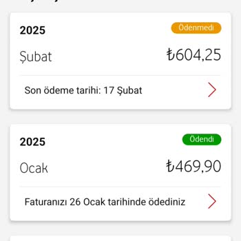 Fatura Şaşkınlığı: Sürekli Artan Ücretler