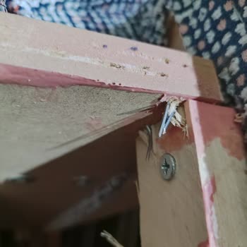 Kelebek Mobilya'dan Aldığım Berjer 1 Günde Kırıldı!