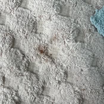 Samsung Kurutma Makinesi Güvenlik Sorunu