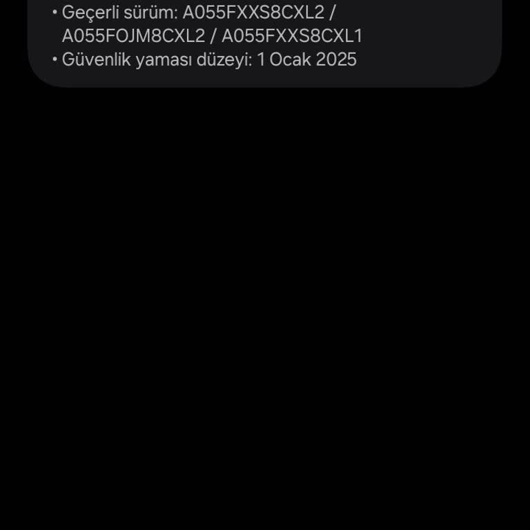 Yazılım Güncellemesi Sonrası Kamera Sorunu