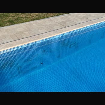 Sermed Havuz: Bitmeyen Sorunlar Ve Hayal Kırıklığı