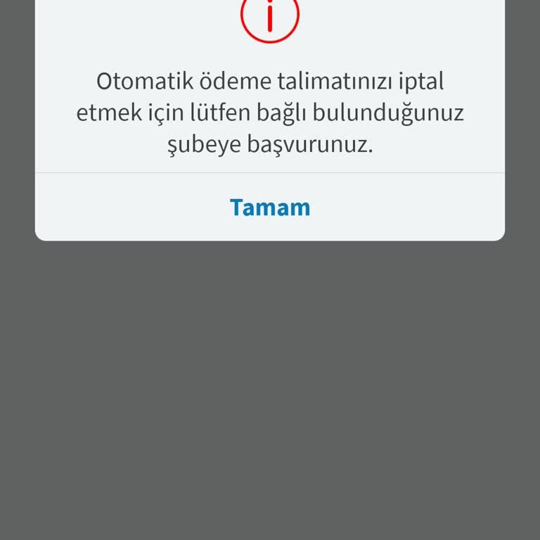 Halkbank Otomatik Ödeme Talimatı İptalinde Şube Zorunluluğu Sorunu