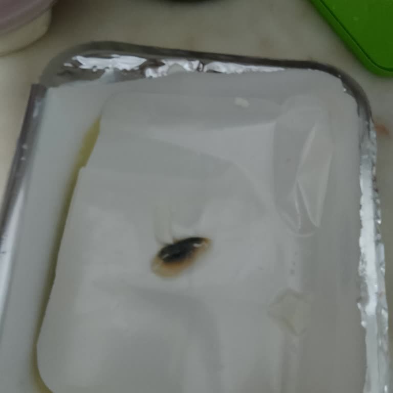 BİM Süzme Peynir Küflü Çıktı!