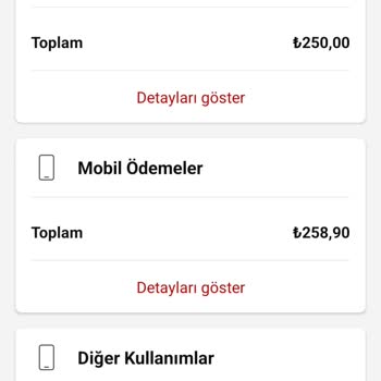 Mobil Ödeme Sorunu Ve İade Talebi