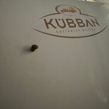 Şöbiyet Tatlısında Taş Şoku!