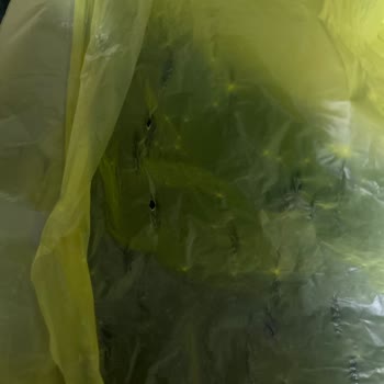 Sera Çöp Poşetinde Kalite Hayal Kırıklığı