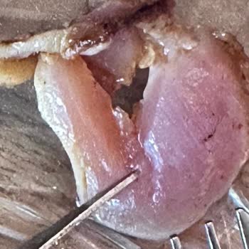 Banvit Pişmemiş Tavuk Dönerle Gelen Tehlike