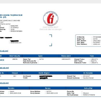 Lüks Adana Seyahat İle Soğuk Ve Sorunlu Yolculuk